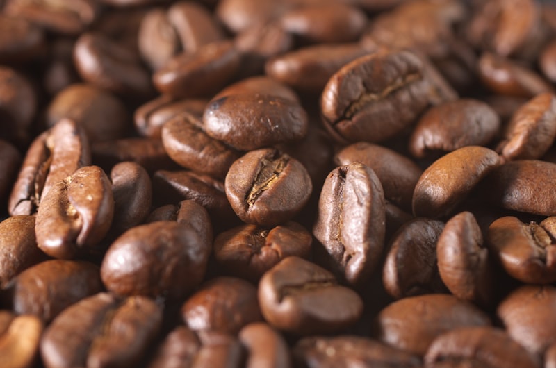 Cafeína em cápsula: Qual o Melhor Modelo para Comprar em 2026?