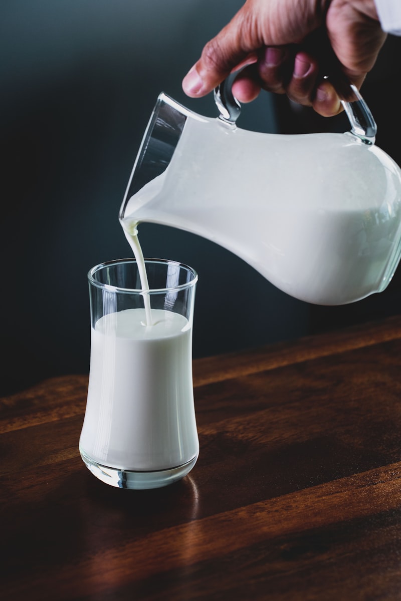 Qual o Melhor Tipo de Leite em Pó: Integral, Desnatado ou Instantâneo?